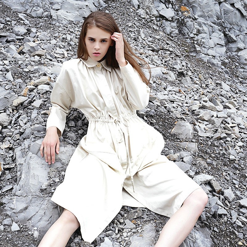 Fashion Long Sleeve High Collar Dress | VoguesUs