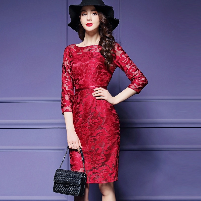 Mesh-Stickerei Halbe Ärmel Bodycon Kleid | VoguesUs