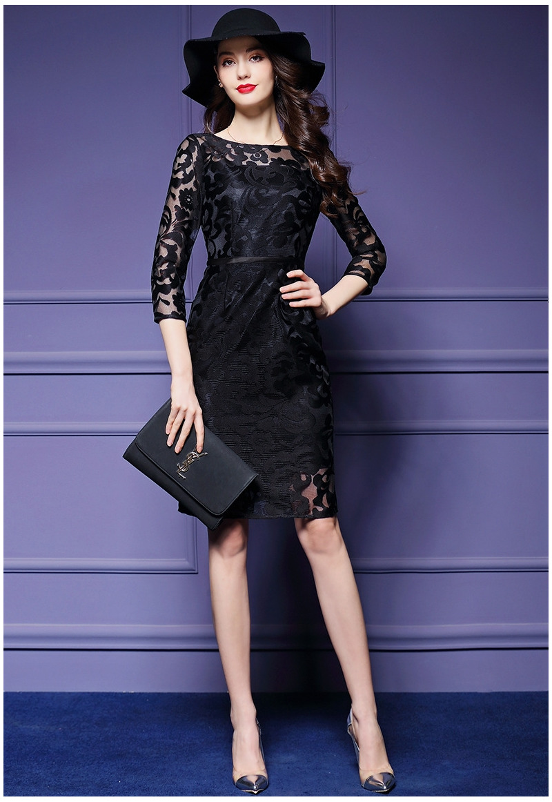 Mesh-Stickerei Halbe Ärmel Bodycon Kleid | VoguesUs
