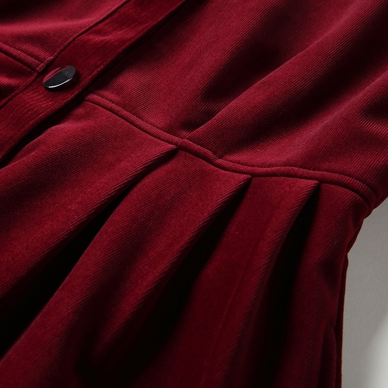 Elegant Velorur Long Sleeve Lapel A Line Dress | VoguesUs
