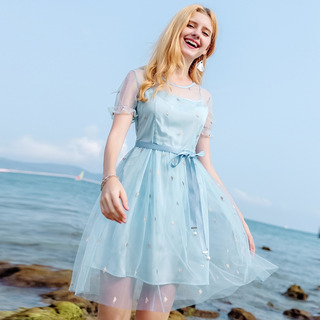 - Rundhalsausschnitt-Stickerei Ein Word-Mesh-Kleid