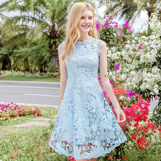 Rundhals Hohle Ein Wort-Spitze-Kleid