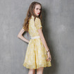 Chiffon Dress And Retro Print Doll Collar Dress